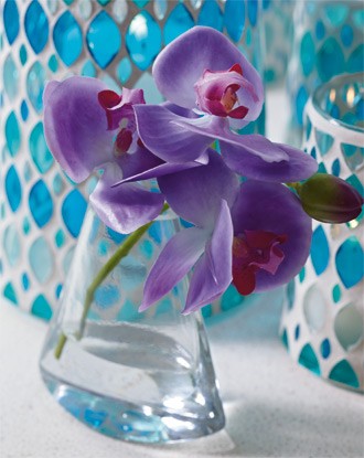 Aguas Mágicas con Orquídeas